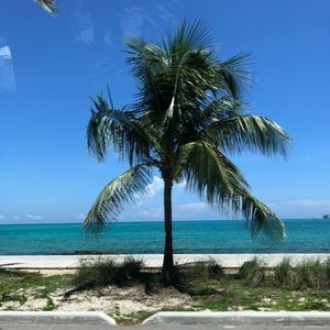 Meet your Posher, Gabby